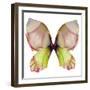 Floral Butterfly 2-Emma Catherine Debs-Framed Art Print