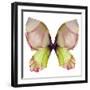 Floral Butterfly 2-Emma Catherine Debs-Framed Art Print