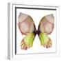 Floral Butterfly 2-Emma Catherine Debs-Framed Art Print