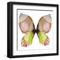 Floral Butterfly 2-Emma Catherine Debs-Framed Art Print