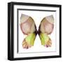 Floral Butterfly 2-Emma Catherine Debs-Framed Art Print