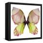 Floral Butterfly 2-Emma Catherine Debs-Framed Stretched Canvas