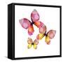 Floral Butterfly Trio-Emma Catherine Debs-Framed Stretched Canvas