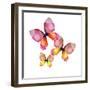 Floral Butterfly Trio-Emma Catherine Debs-Framed Art Print