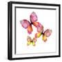 Floral Butterfly Trio-Emma Catherine Debs-Framed Art Print