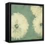 Floral Cache II-Julianne Marcoux-Framed Stretched Canvas