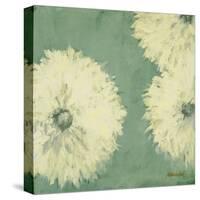 Floral Cache II-Julianne Marcoux-Stretched Canvas