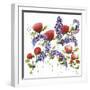 Floral Celebration I-Jean Picton-Framed Giclee Print