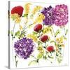 Floral Celebration II-Jean Picton-Stretched Canvas