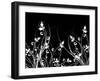 Floral Chaos-kjpargeter-Framed Art Print