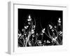 Floral Chaos-kjpargeter-Framed Art Print