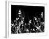 Floral Chaos-kjpargeter-Framed Art Print