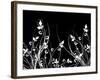 Floral Chaos-kjpargeter-Framed Art Print