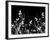Floral Chaos-kjpargeter-Framed Art Print
