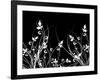 Floral Chaos-kjpargeter-Framed Art Print