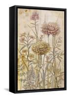 Floral Chinoiserie I-Tim OToole-Framed Stretched Canvas