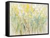 Floral Cluster I-Tim O'toole-Framed Stretched Canvas