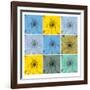 Floral Collage II-Herb Dickinson-Framed Photographic Print