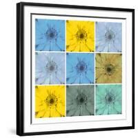 Floral Collage II-Herb Dickinson-Framed Photographic Print