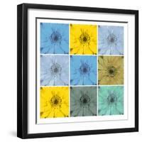 Floral Collage II-Herb Dickinson-Framed Photographic Print
