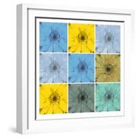 Floral Collage II-Herb Dickinson-Framed Photographic Print