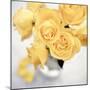 Floral Color #21-Alan Blaustein-Mounted Photographic Print
