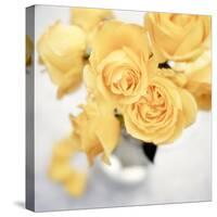 Floral Color #21-Alan Blaustein-Stretched Canvas