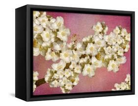 Floral composition-Viviane Fedieu Danielle-Framed Stretched Canvas