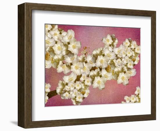 Floral composition-Viviane Fedieu Danielle-Framed Photographic Print