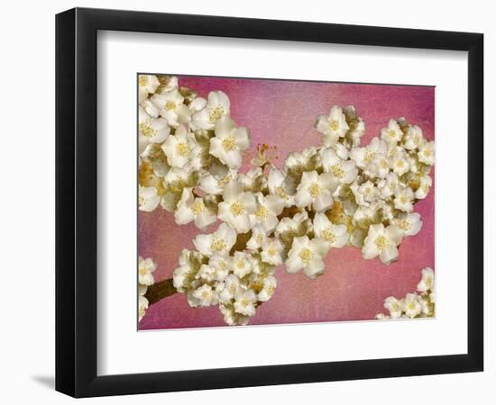 Floral composition-Viviane Fedieu Danielle-Framed Photographic Print