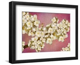 Floral composition-Viviane Fedieu Danielle-Framed Photographic Print