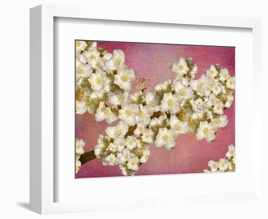 Floral composition-Viviane Fedieu Danielle-Framed Photographic Print