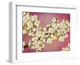 Floral composition-Viviane Fedieu Danielle-Framed Photographic Print