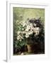 Floral Composition-Hubert Bellis-Framed Giclee Print