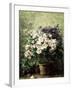 Floral Composition-Hubert Bellis-Framed Giclee Print