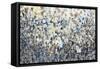 Floral Crowd II-Tim O'toole-Framed Stretched Canvas