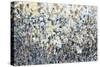 Floral Crowd II-Tim O'toole-Stretched Canvas