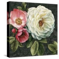 Floral Damask II-Lisa Audit-Stretched Canvas