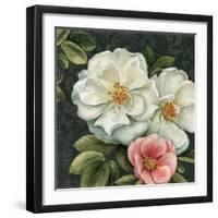 Floral Damask III-Lisa Audit-Framed Art Print