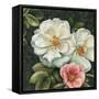 Floral Damask III-Lisa Audit-Framed Stretched Canvas