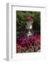 Floral decoration-Natalie Tepper-Framed Photo