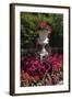 Floral decoration-Natalie Tepper-Framed Photo