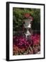 Floral decoration-Natalie Tepper-Framed Photo