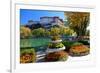 Floral Decorations at the Small Pond with Potala Palace seen from the North-null-Framed Art Print