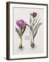 Floral Decoupage - Anthocyanin-Camille Soulayrol-Framed Giclee Print