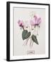 Floral Decoupage - Cyclamen-Camille Soulayrol-Framed Giclee Print