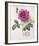 Floral Decoupage I-Camille Soulayrol-Framed Giclee Print