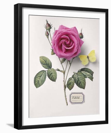 Floral Decoupage I-Camille Soulayrol-Framed Giclee Print