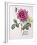 Floral Decoupage I-Camille Soulayrol-Framed Giclee Print