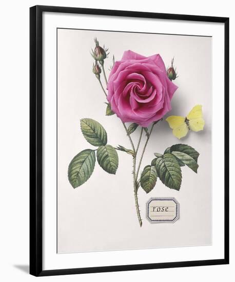 Floral Decoupage I-Camille Soulayrol-Framed Giclee Print